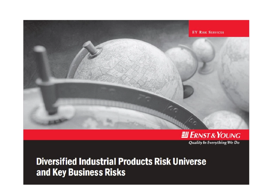 安永风险宇宙(一般工业企业)_第1页