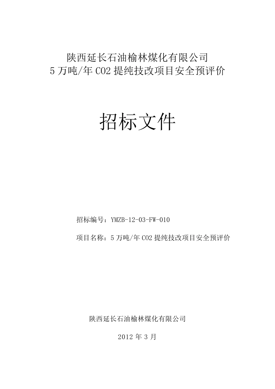 安评招标文件_第1页