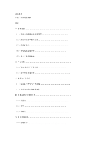 完整策划书案例