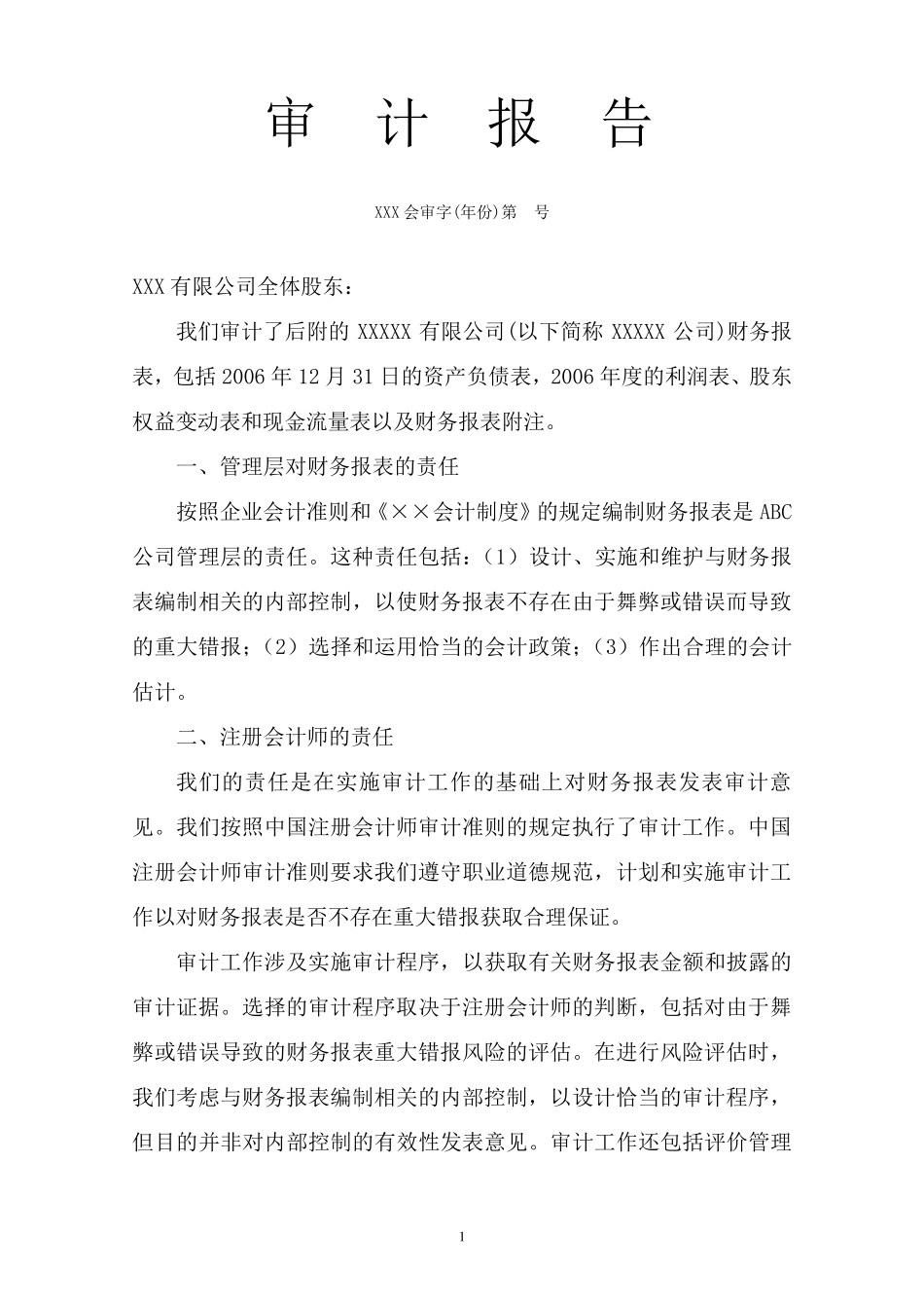 完美版标准审计报告格式_第1页