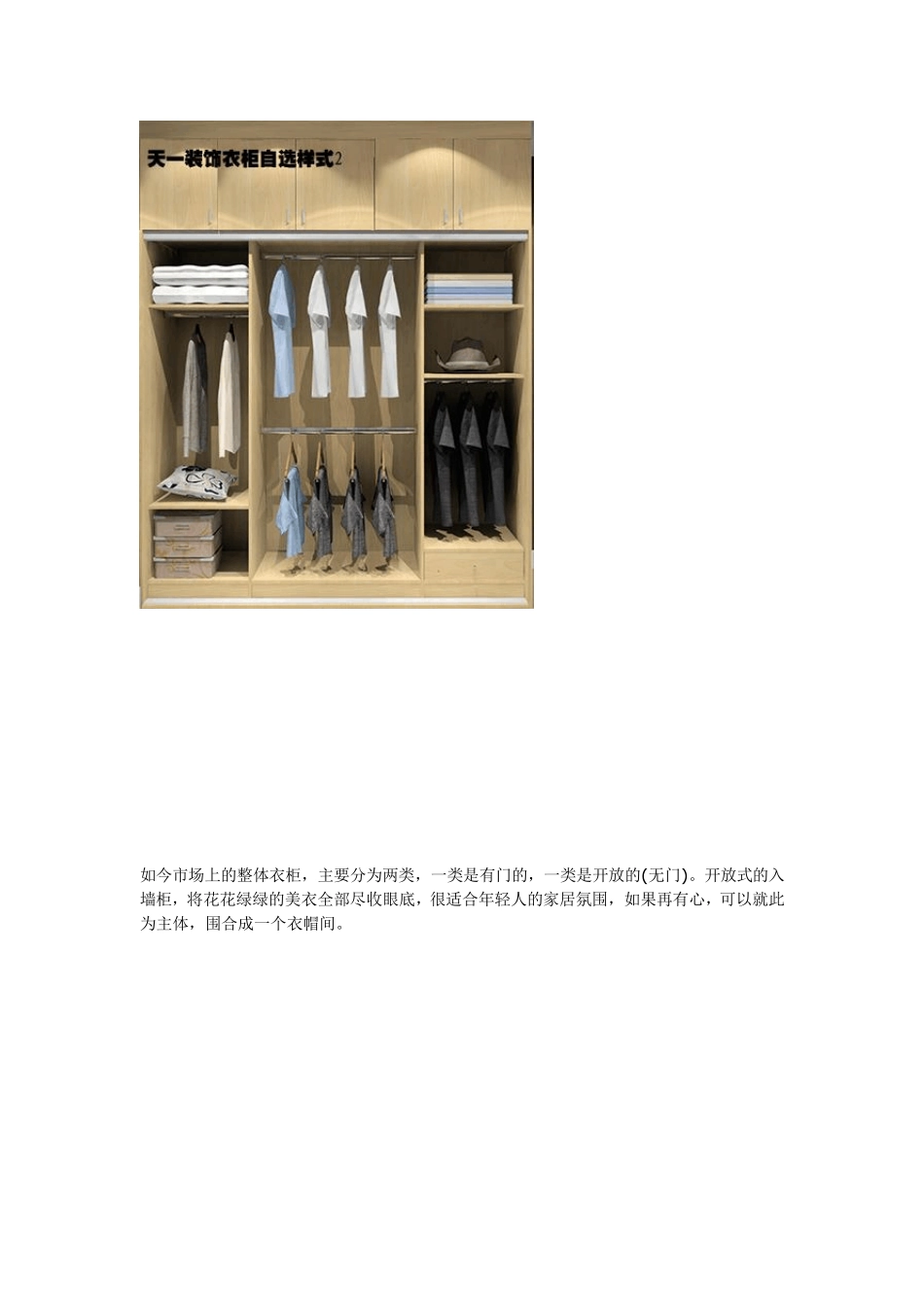 定制家具的34款衣柜内部结构_第2页