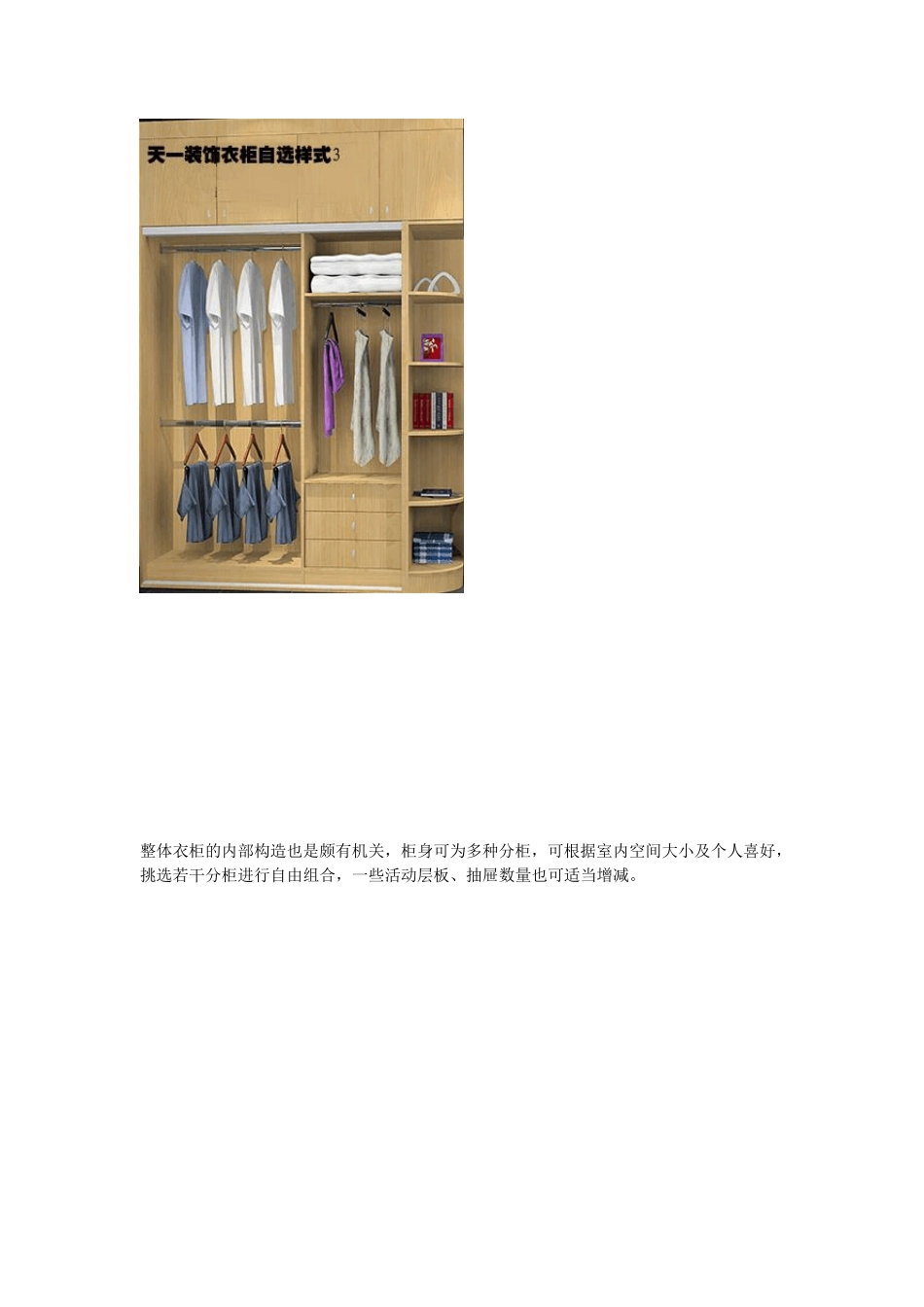 定制家具的34款衣柜内部结构_第3页