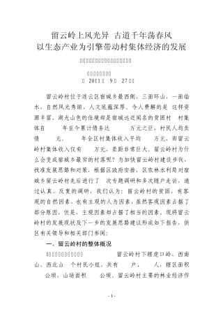 定稿留云岭村发展情况及思路调研报告