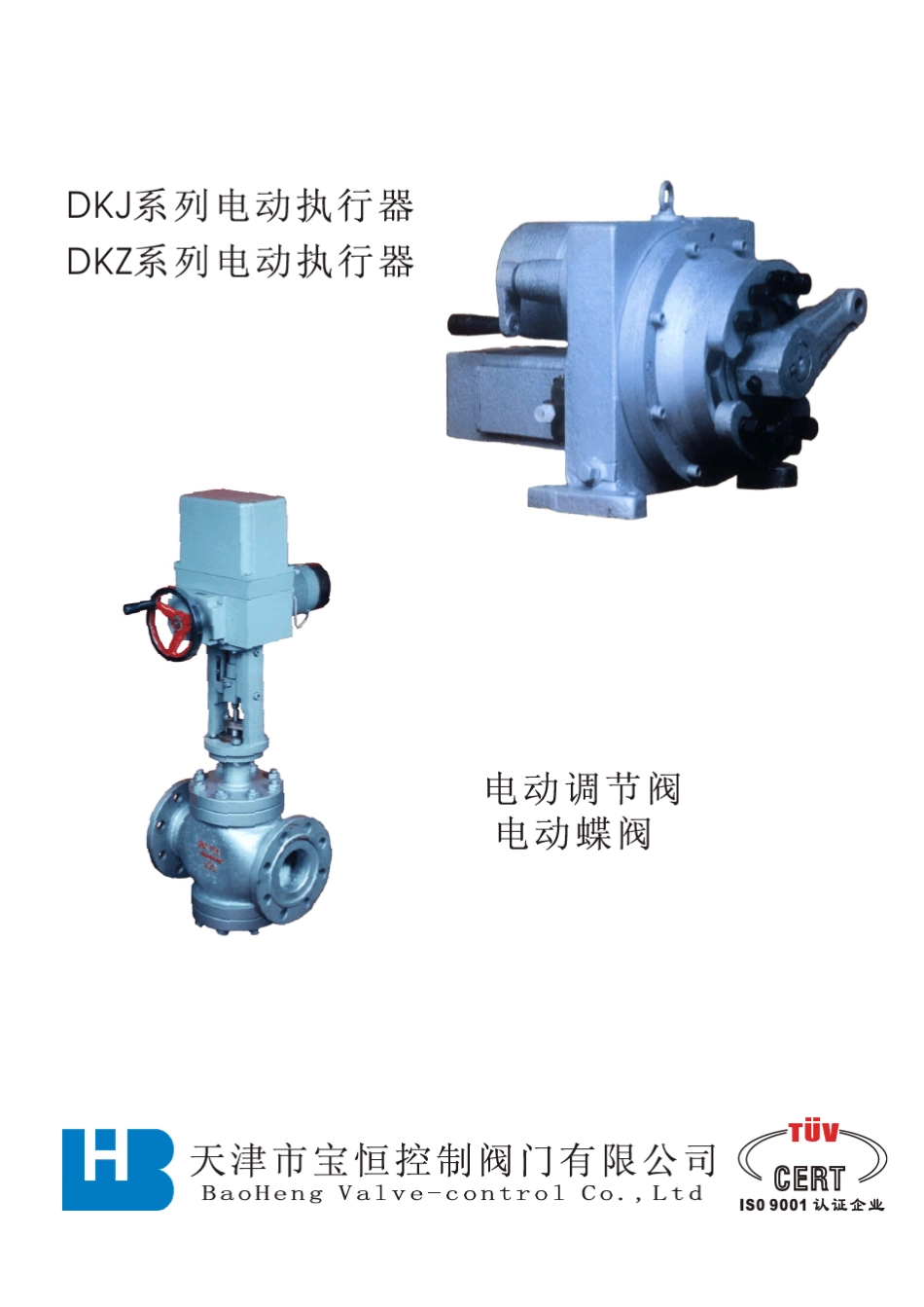 宝恒DKJ样本_第1页