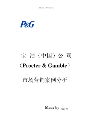 宝洁成功的案例分析