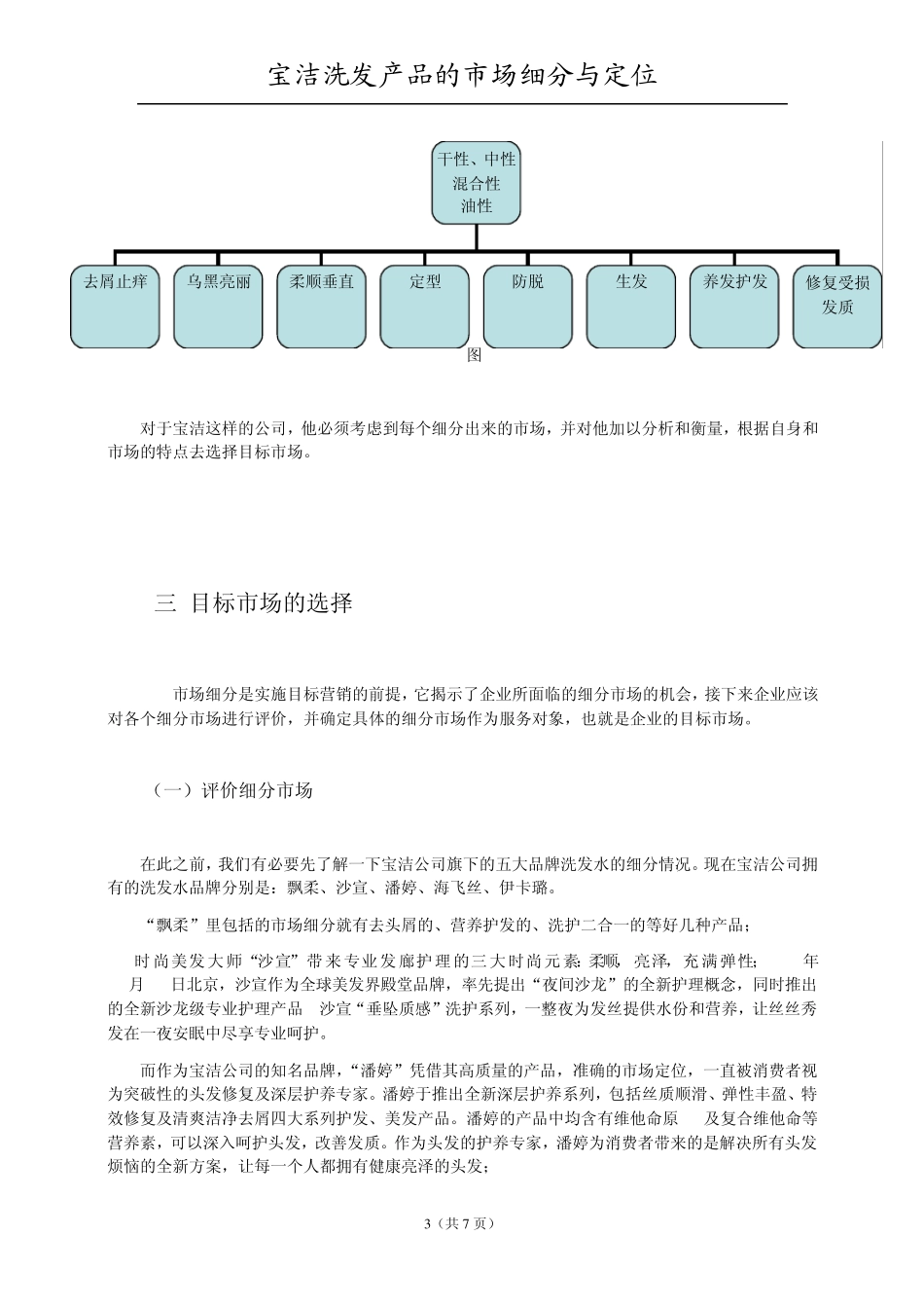 宝洁洗发产品的细分与定位_第3页