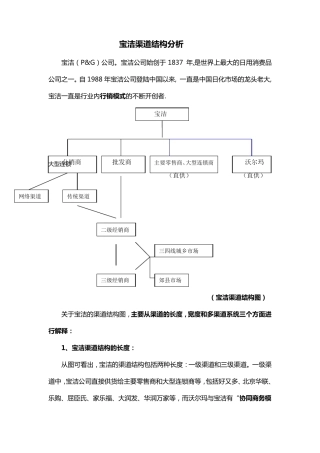 宝洁渠道结构分析重点