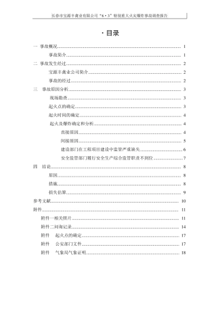 宝源丰事故调查报告