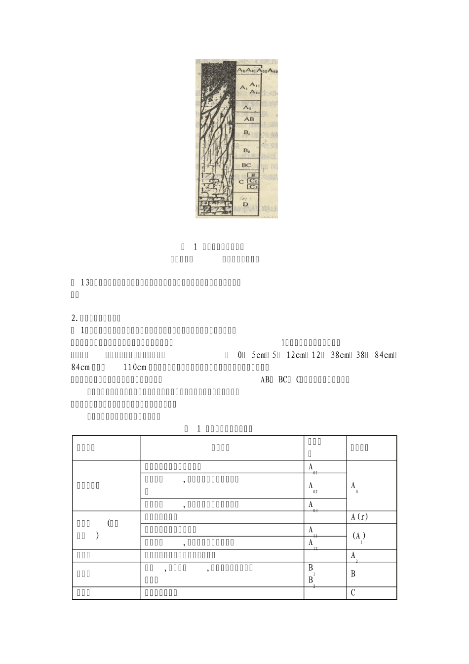 实习土壤剖面的观察与记载_第3页