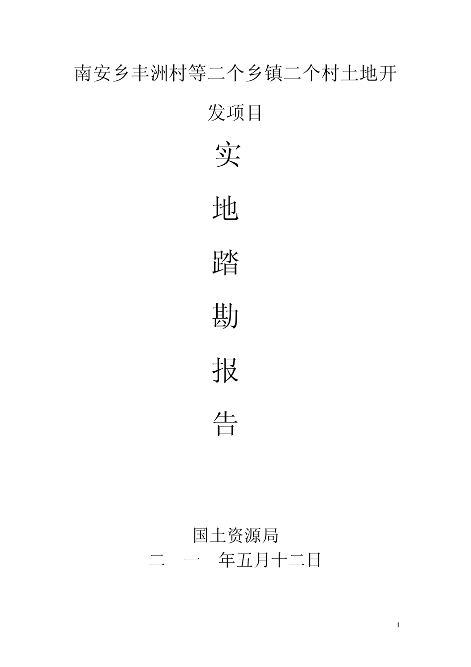 实地踏勘报告模版_第1页