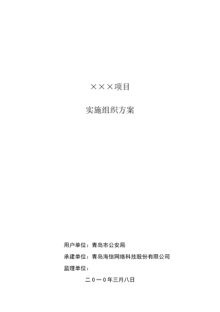 实施项目组织方案