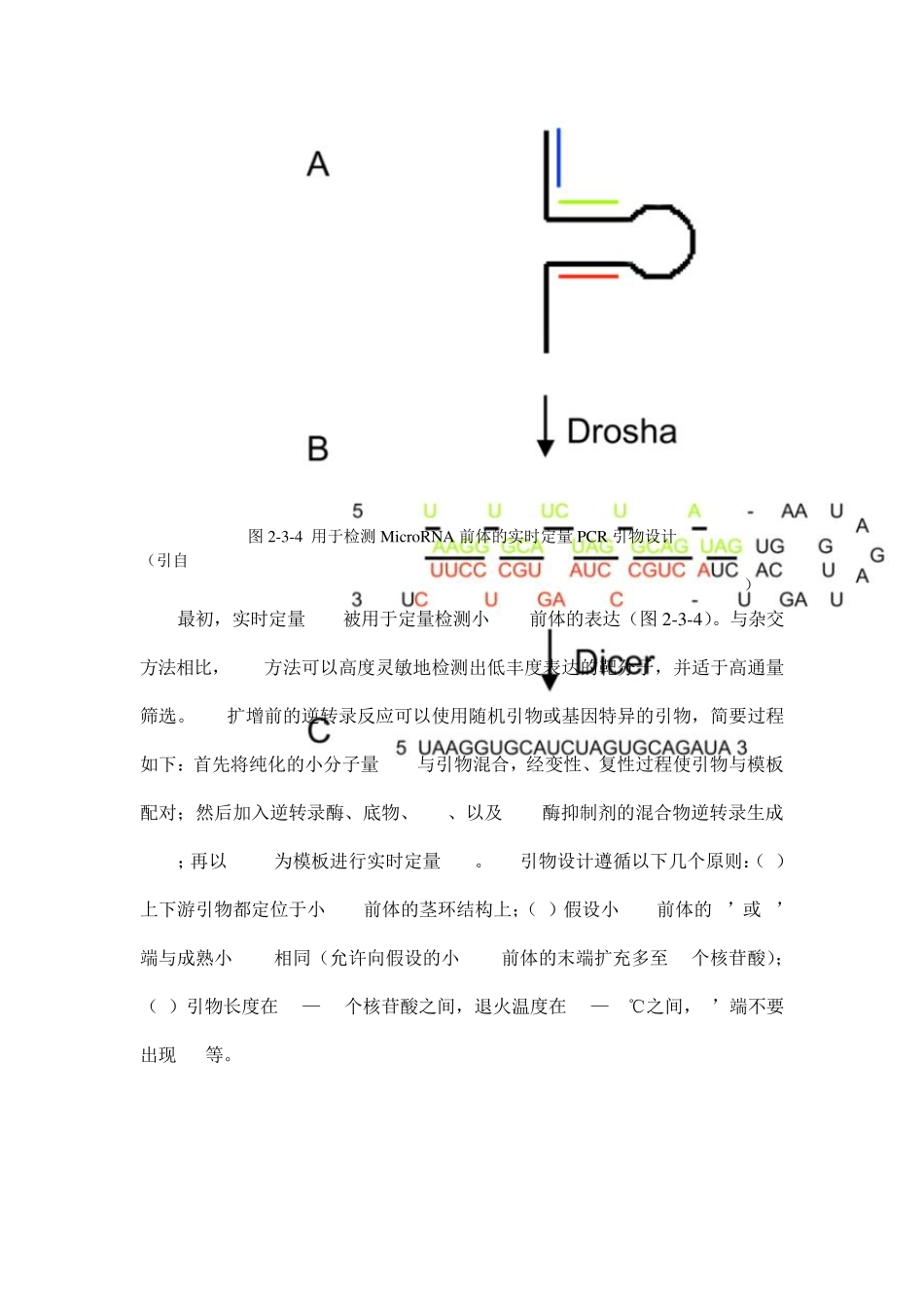 实时定量PCR_第2页