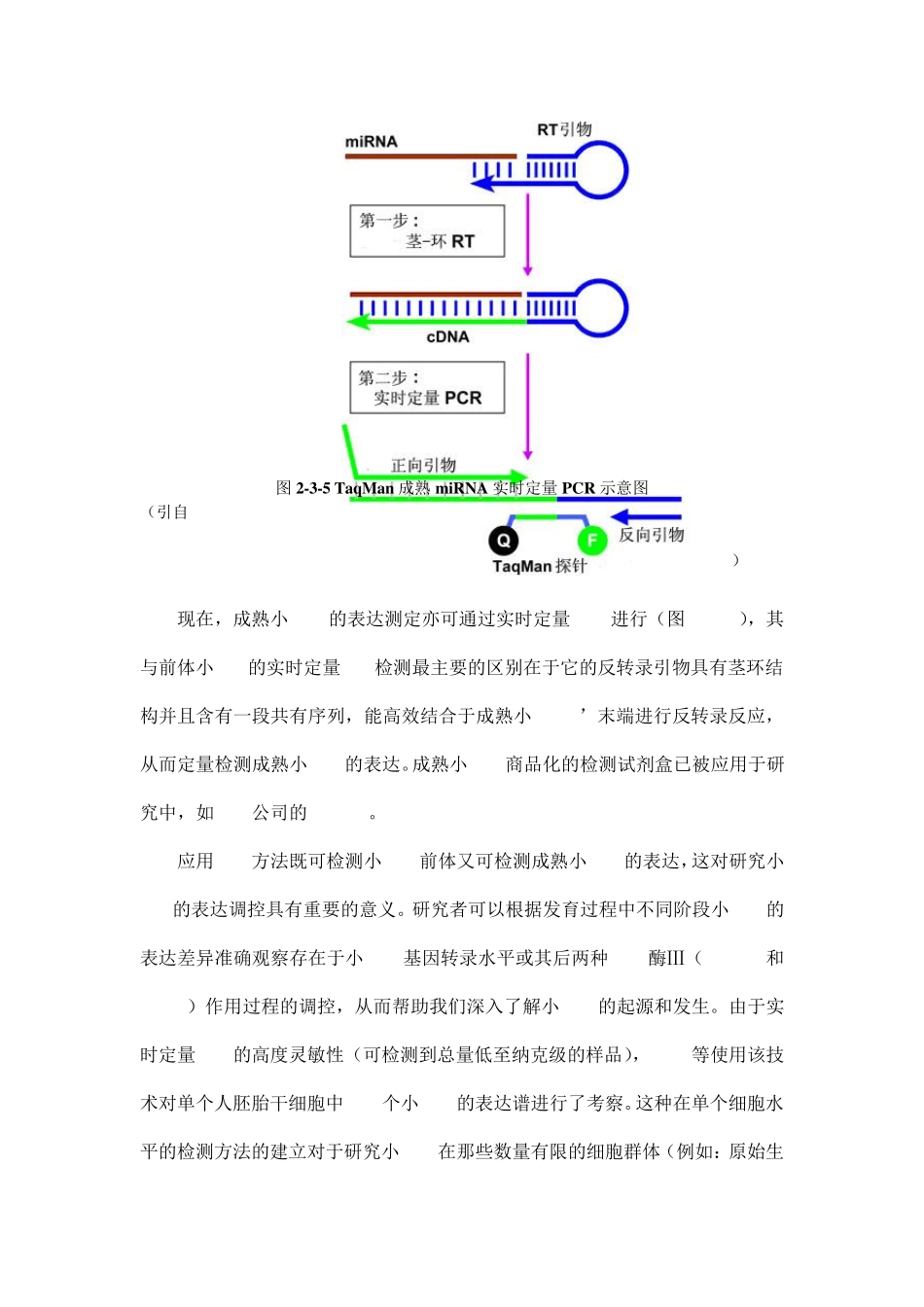 实时定量PCR_第3页