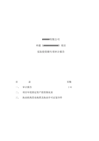 实际投资额审计报告模板