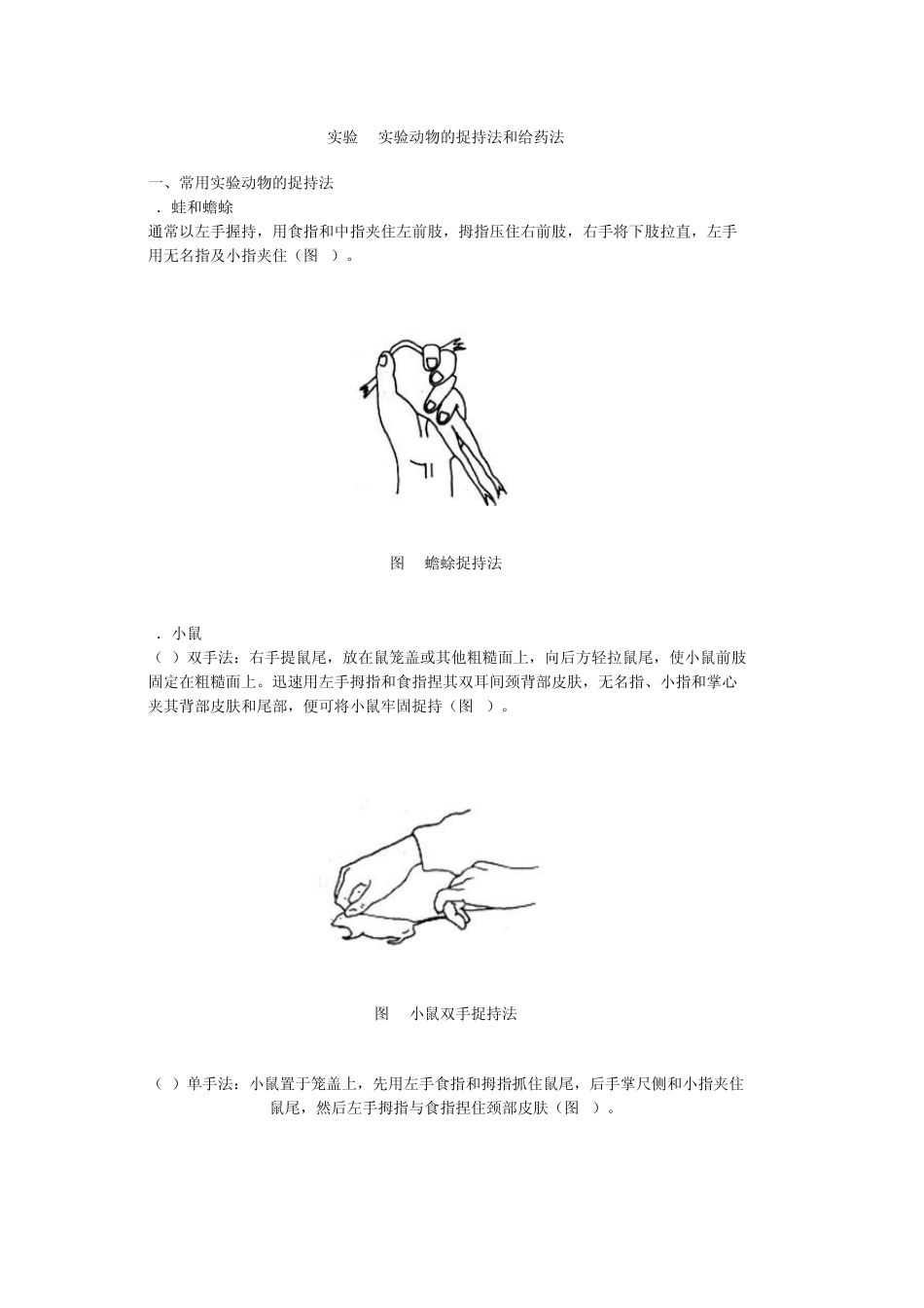 实验1实验动物的捉持法和给药法_第1页