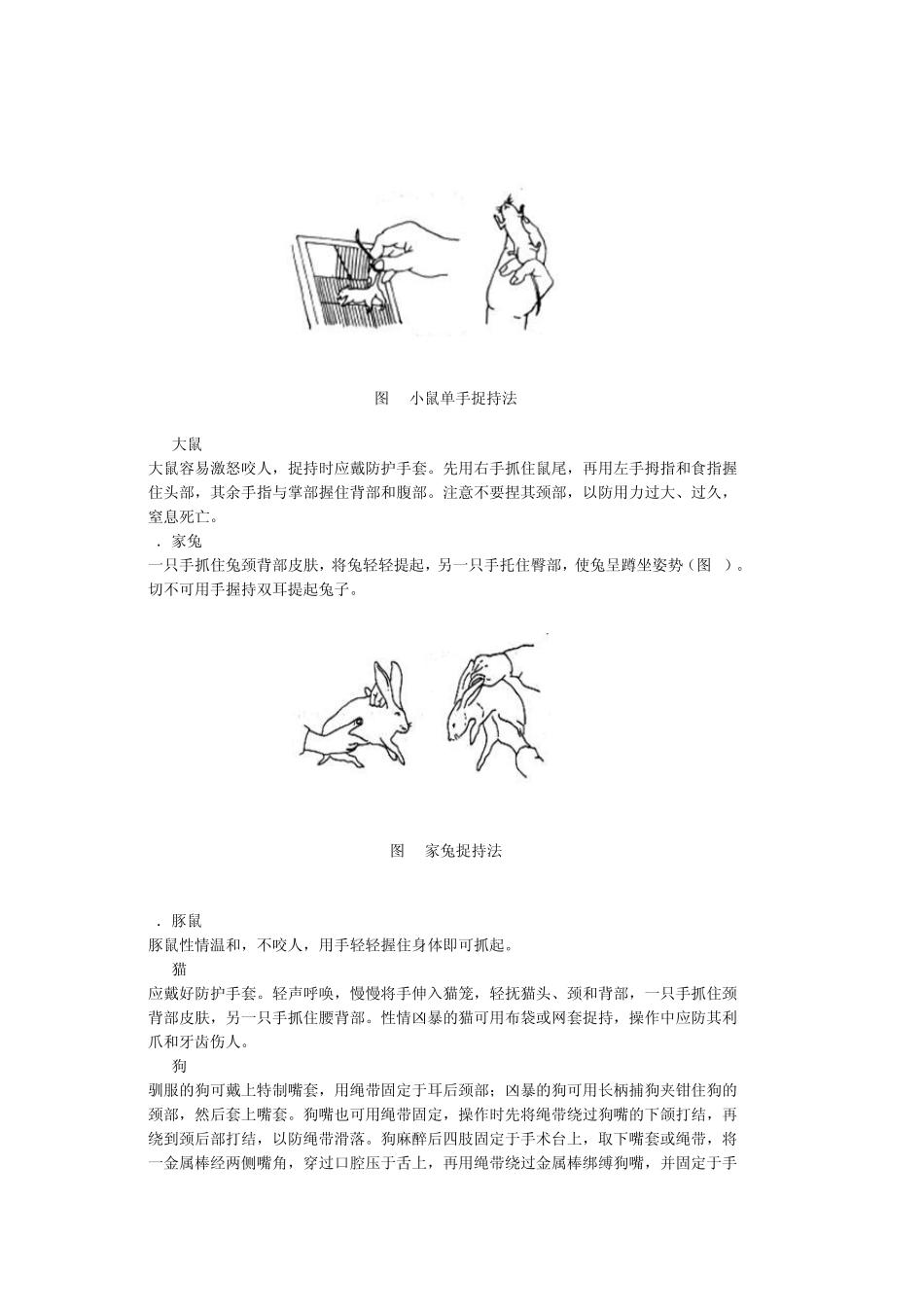 实验1实验动物的捉持法和给药法_第2页