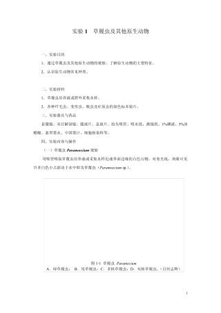实验1草履虫及其他原生动物华南师范大学生命科学学院