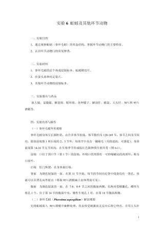 实验5蚯蚓等环节动物