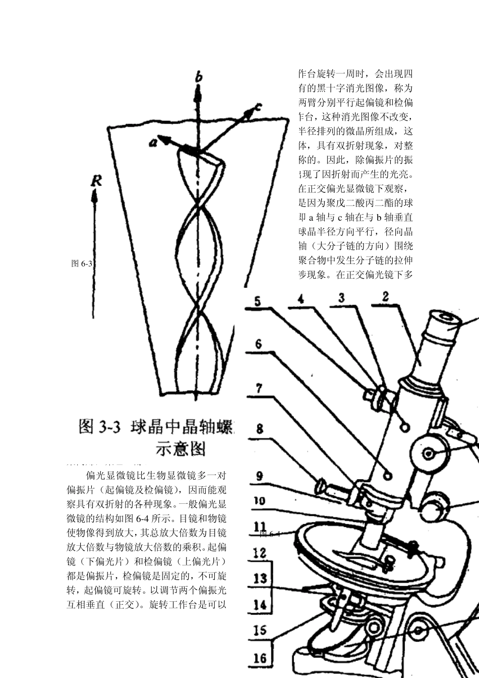 实验6偏光显微镜OK!_第3页