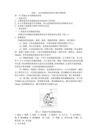 实验一光学显微镜的使用与微生物观察