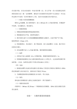 实验一大肠杆菌基因组提取