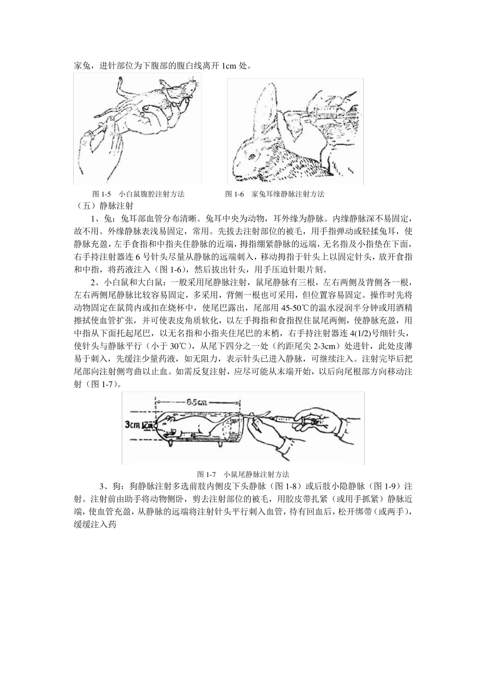 实验一实验动物给药途径和方法._第3页