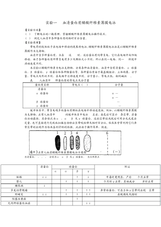实验一血清蛋白质醋酸纤维素薄膜电泳