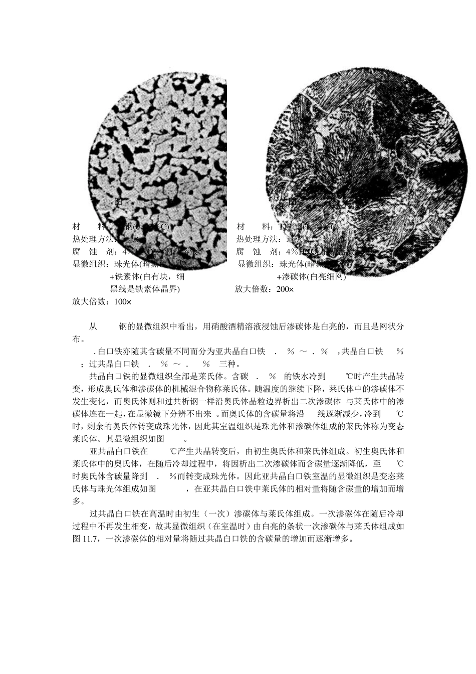实验一铁碳合金平衡组织观察_第2页