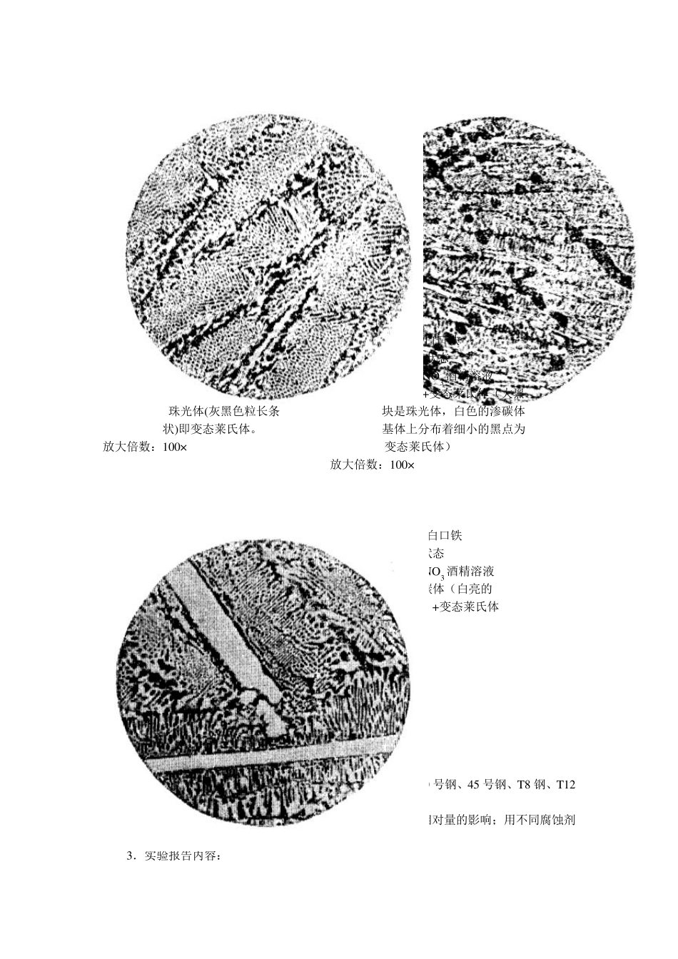 实验一铁碳合金平衡组织观察_第3页