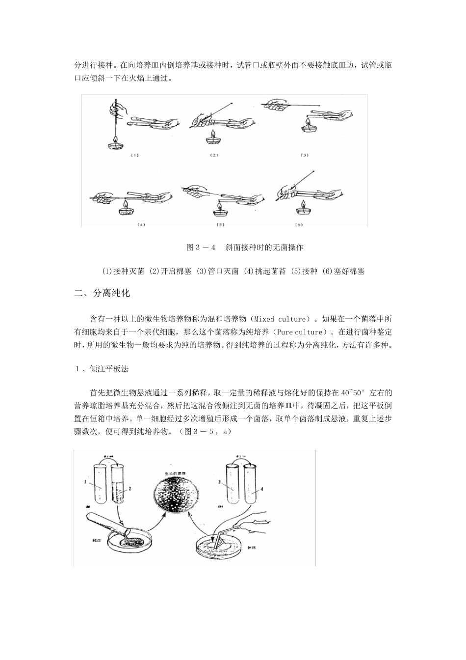 实验三微生物的接种、分离纯化与培养方法_第3页