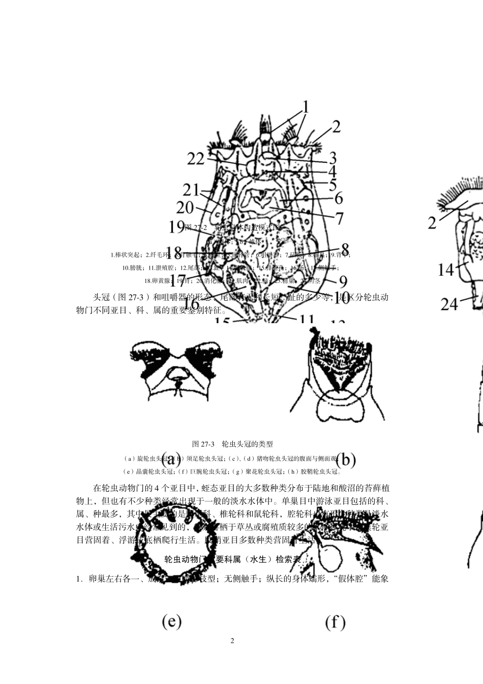 实验二十七浮游动物和底栖动物的水质监测_第2页