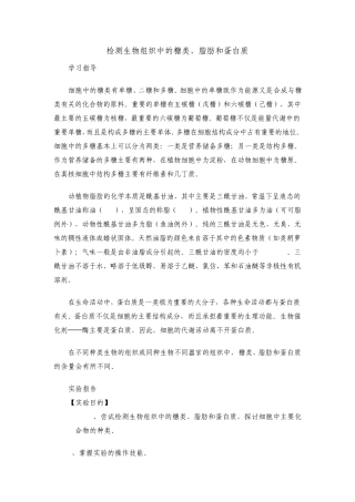 实验二检测生物组织中的糖类、脂肪和蛋白质