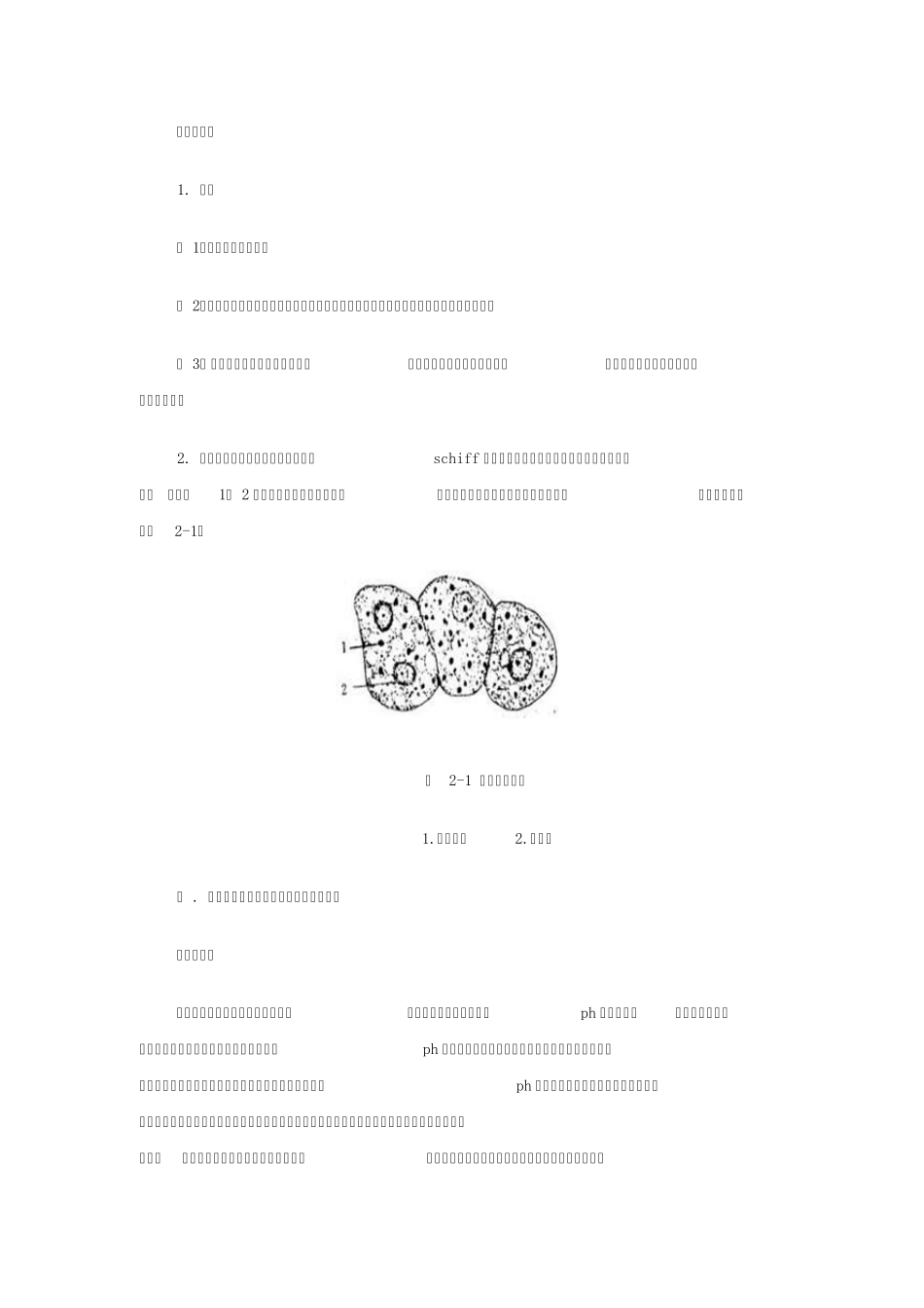 实验二细胞内糖原、蛋白质及核酸的显示_第2页