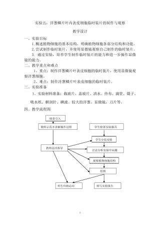 实验五：洋葱鳞片叶内表皮细胞临时装片的制作雨观察
