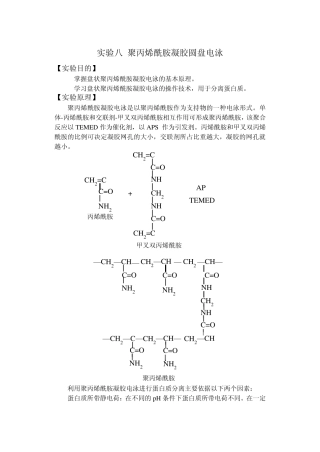 实验八聚丙烯酰胺凝胶圆盘电泳