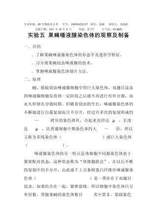 实验六果蝇唾液腺染色体的观察及制备