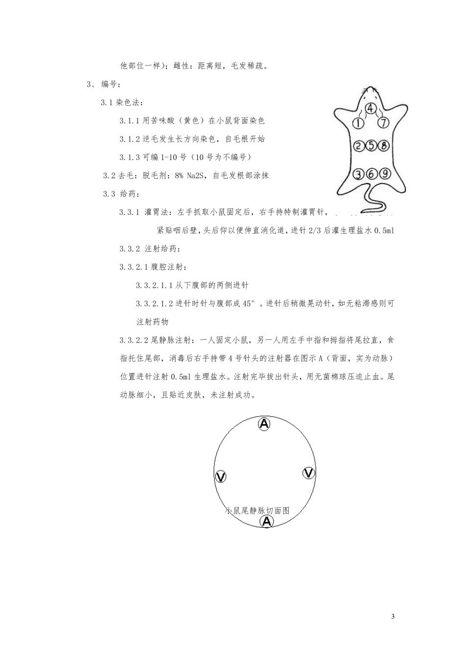 实验动物学实验报告_第3页
