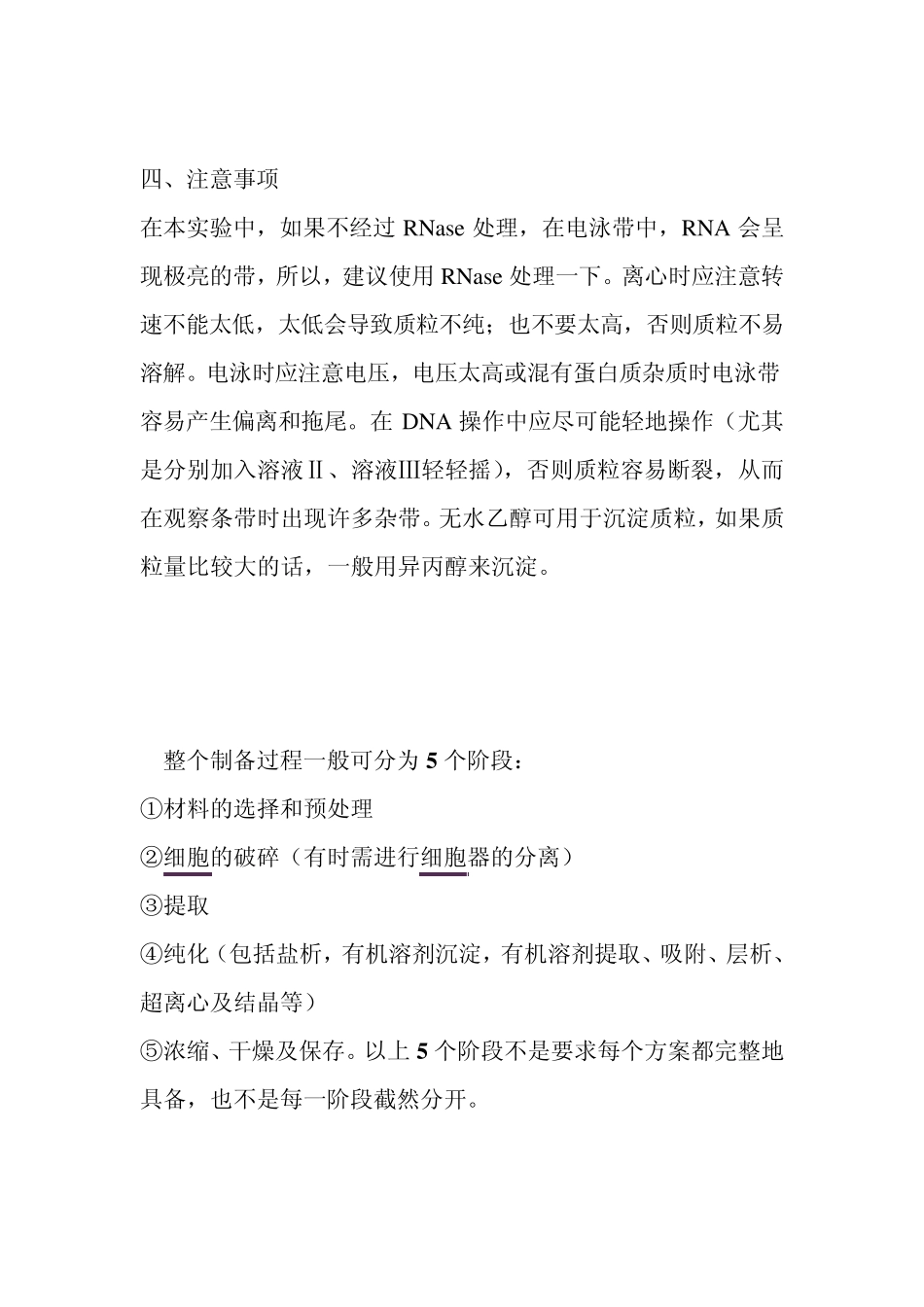 实验十一质粒DNA的提取与纯化_第3页