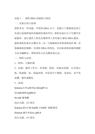 实验十一质粒DNA的提取与纯化