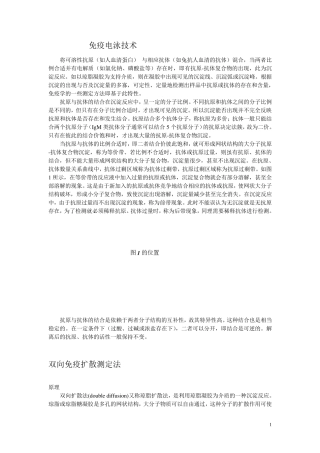 实验十一免疫电泳