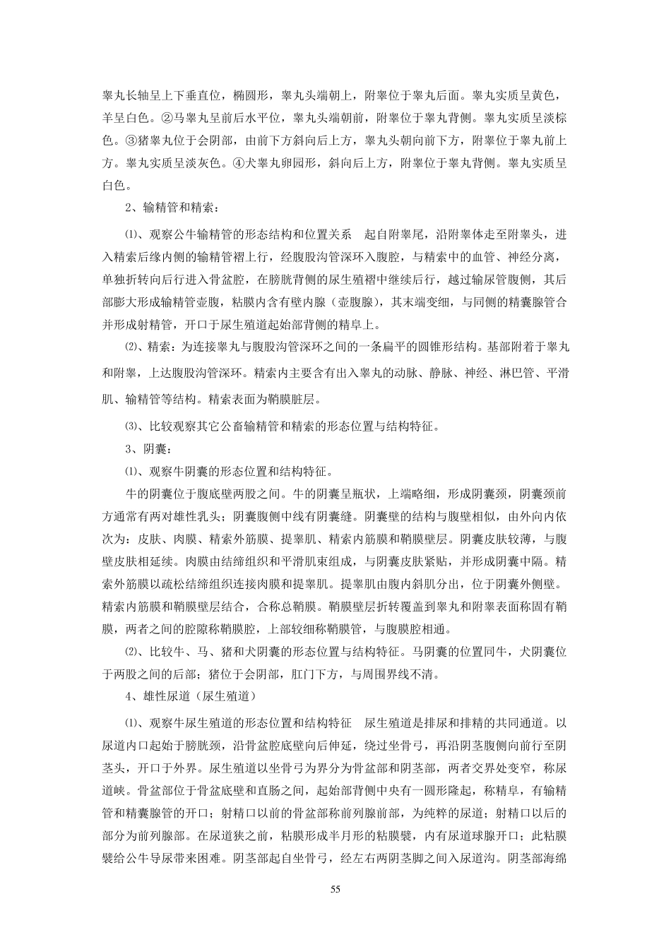 实验十二、公畜生殖器官_第2页