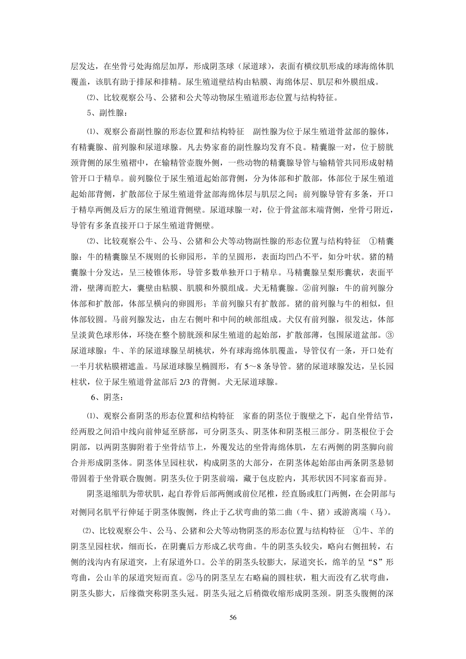 实验十二、公畜生殖器官_第3页