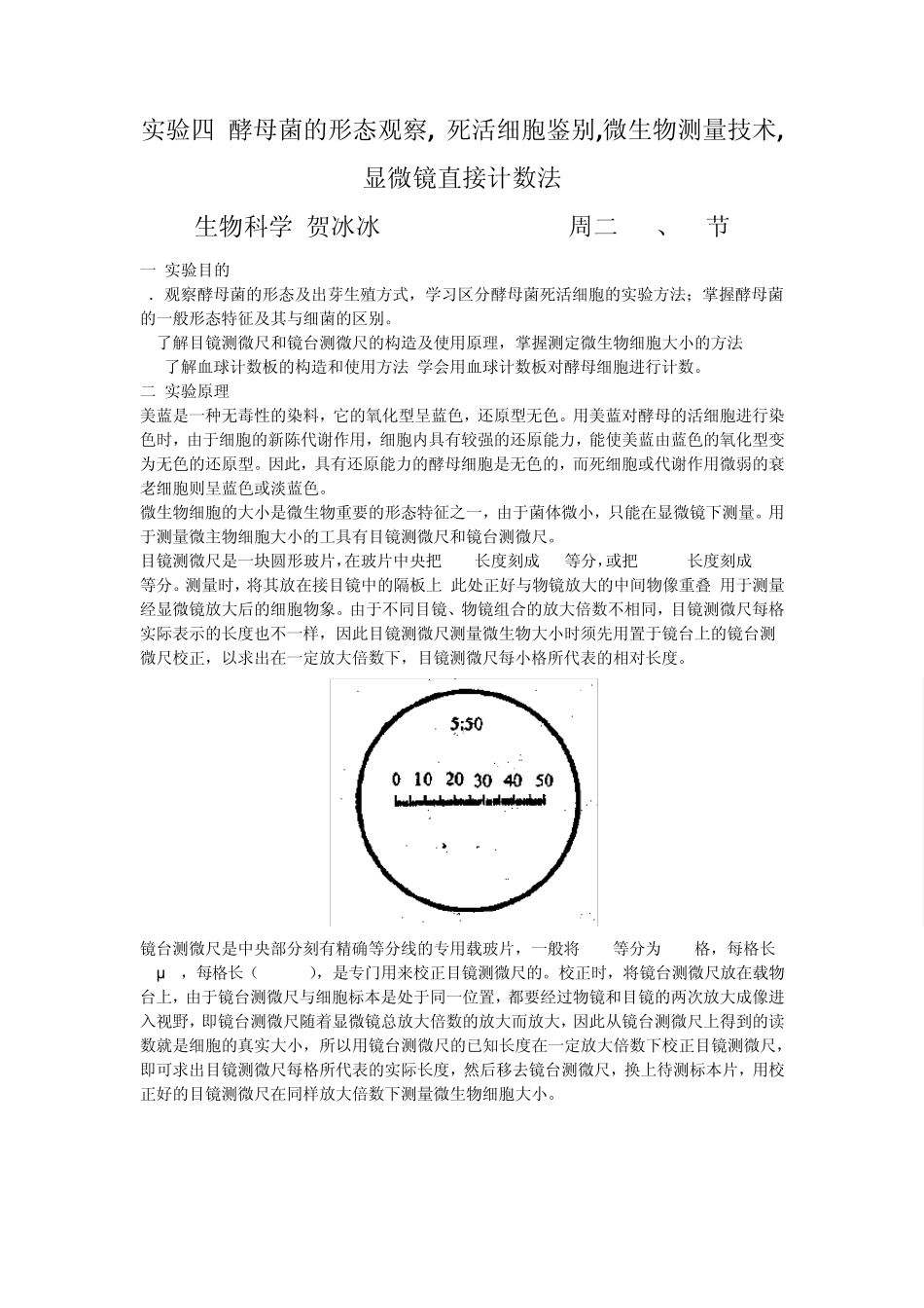 实验四酵母菌的形态观察_第1页