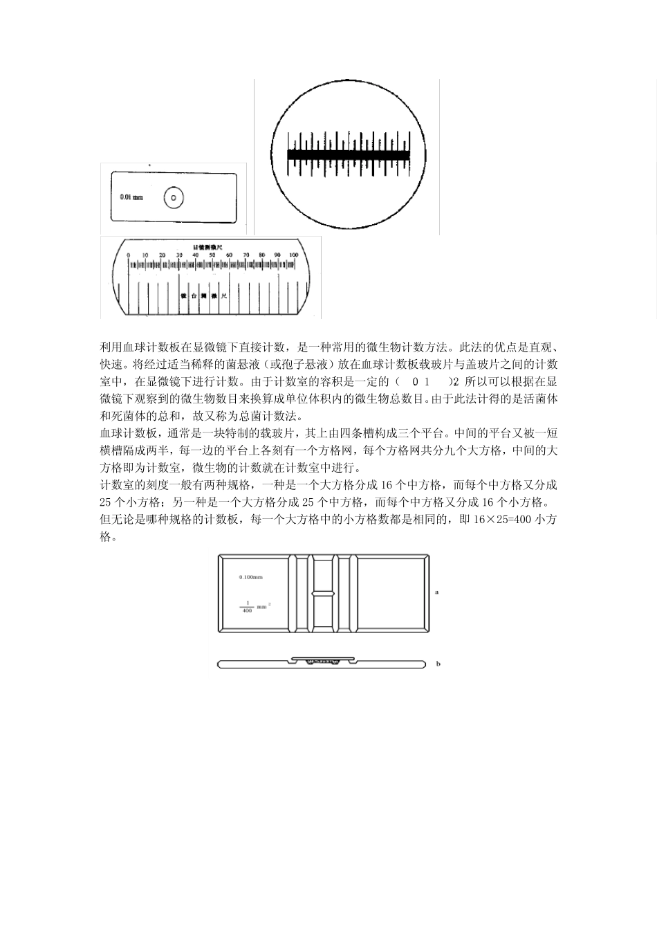 实验四酵母菌的形态观察_第2页