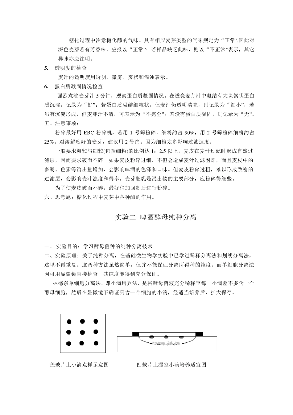 实验室啤酒发酵_第3页