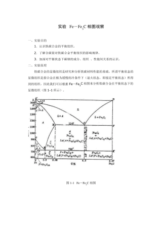 实验铁碳合金平衡组织观察