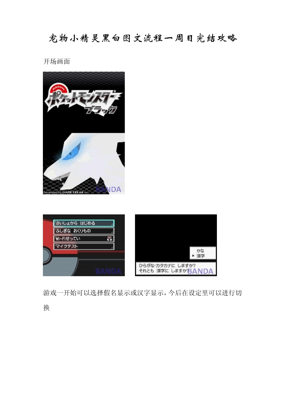 宠物小精灵黑白图文流程一周目完结攻略_第1页