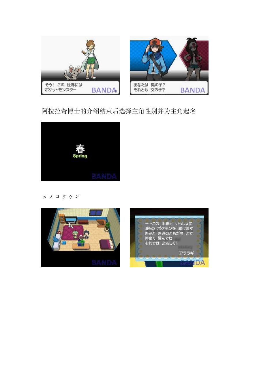 宠物小精灵黑白图文流程一周目完结攻略_第2页