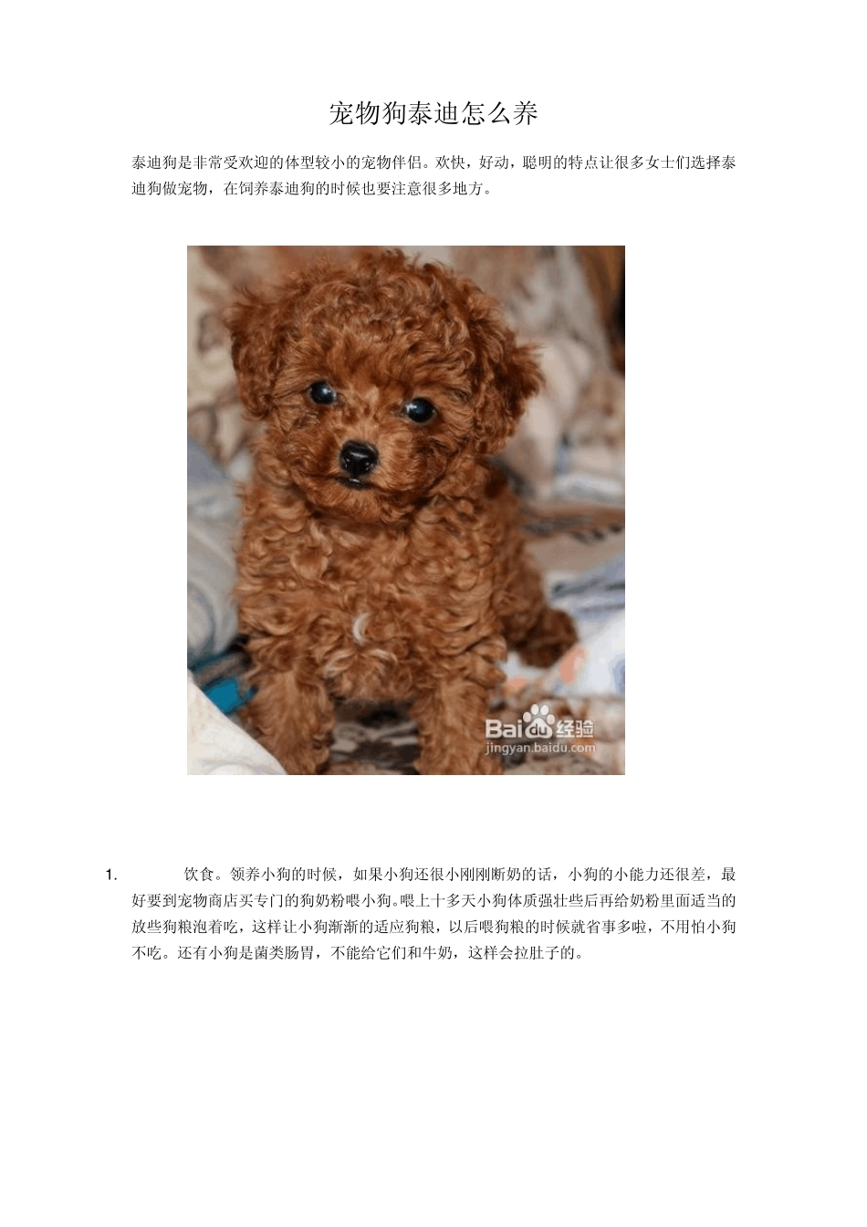 宠物狗泰迪怎么养_第1页