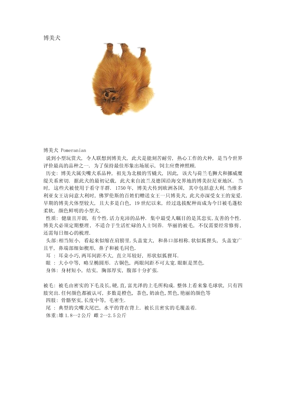宠物狗的种类_第2页